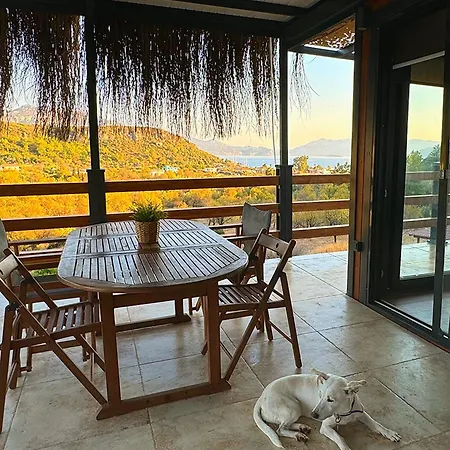 Dolce Söğüt